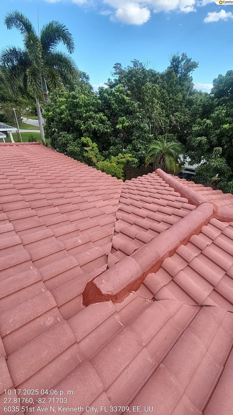 SB Pro Roofing - Sarasota, FL