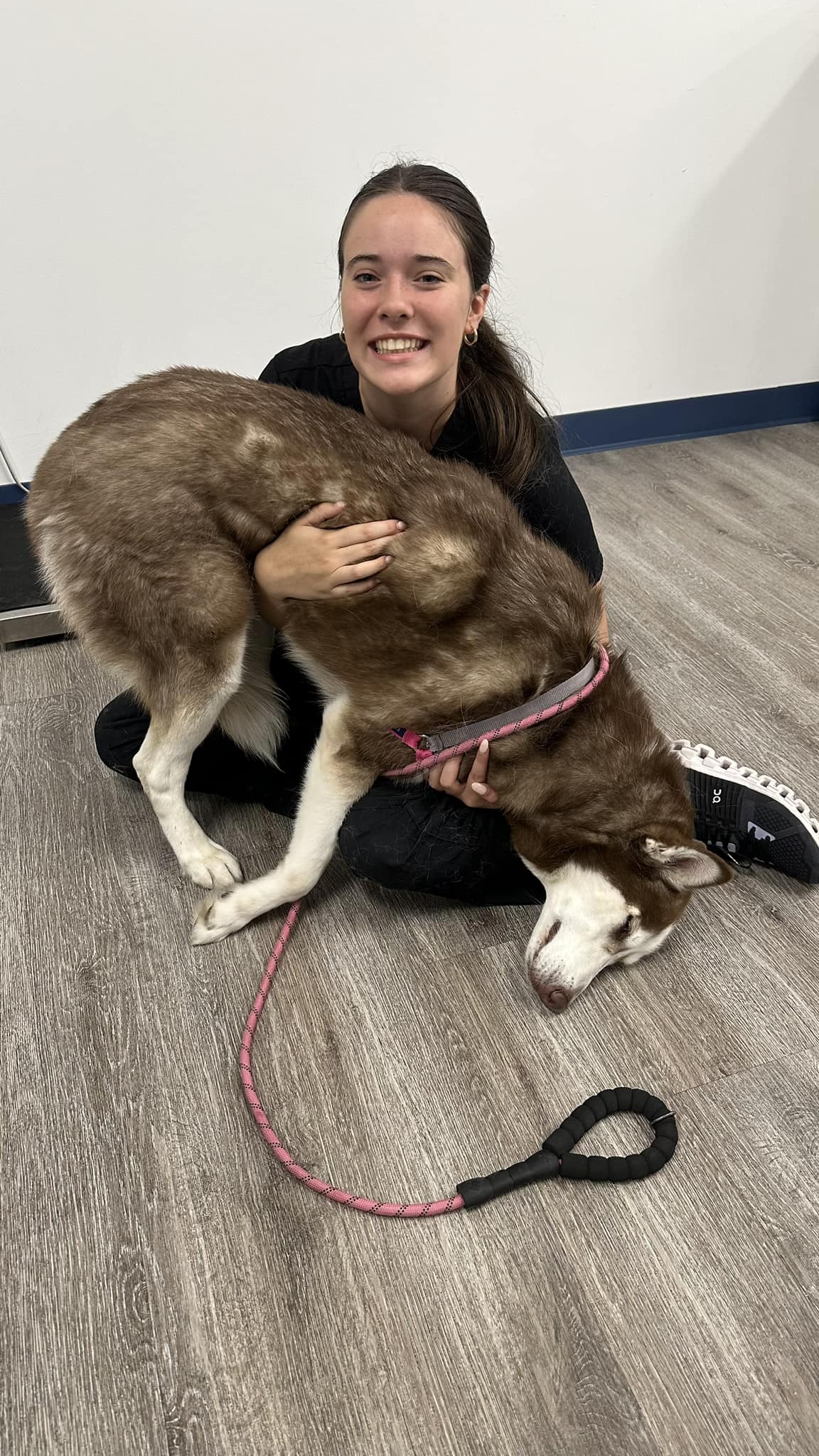 Pet Urgent Response and Emergency Image