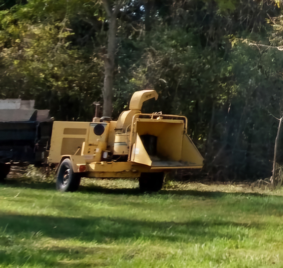 Tree View Outdoor Services - Windsor, IL