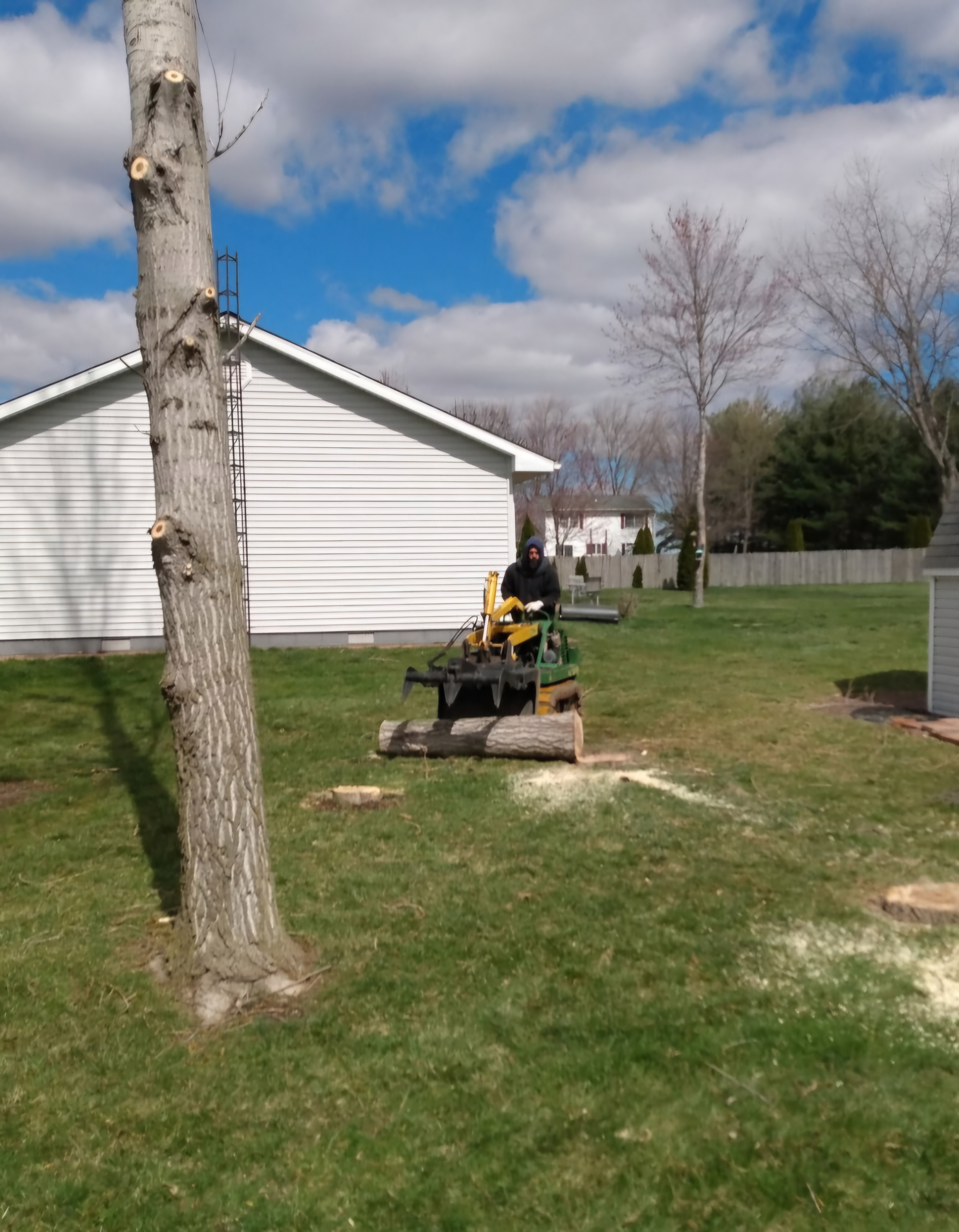 Tree View Outdoor Services - Windsor, IL