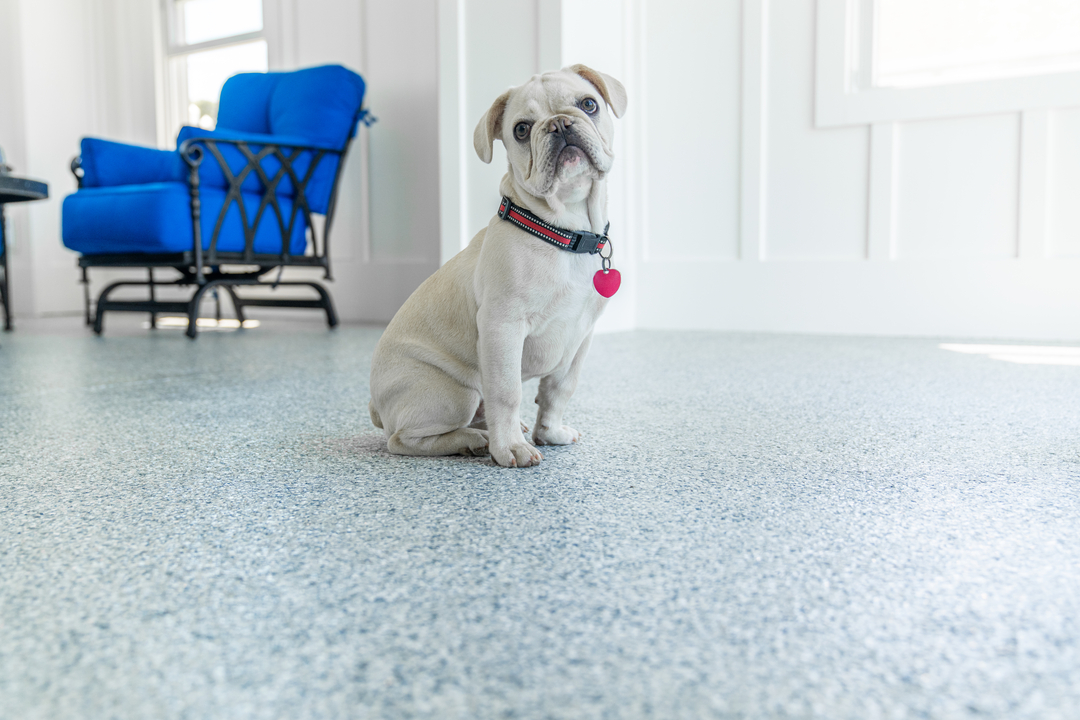 Transylvania Concrete Coatings Image