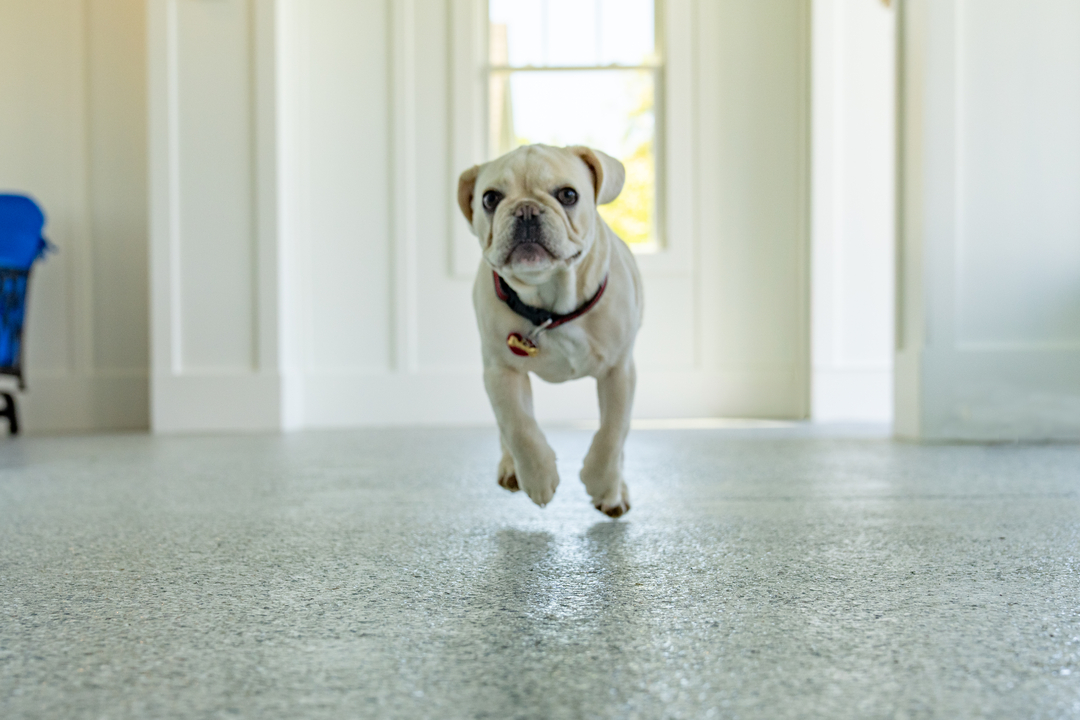 Transylvania Concrete Coatings Image