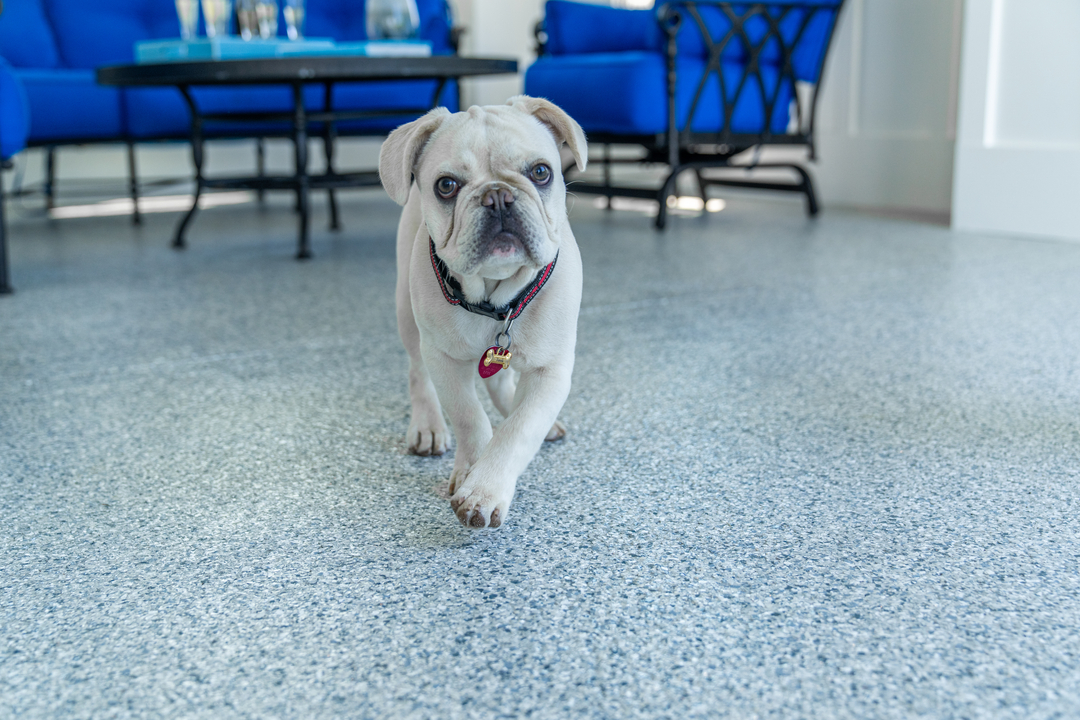 Transylvania Concrete Coatings Image