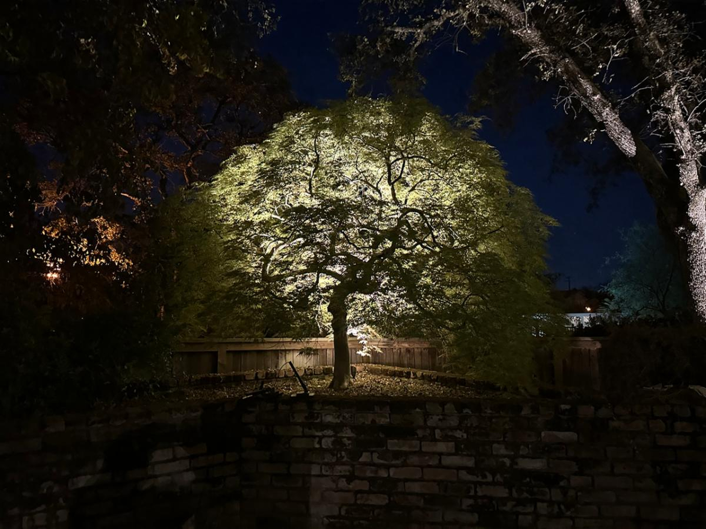 Brite Creations Image