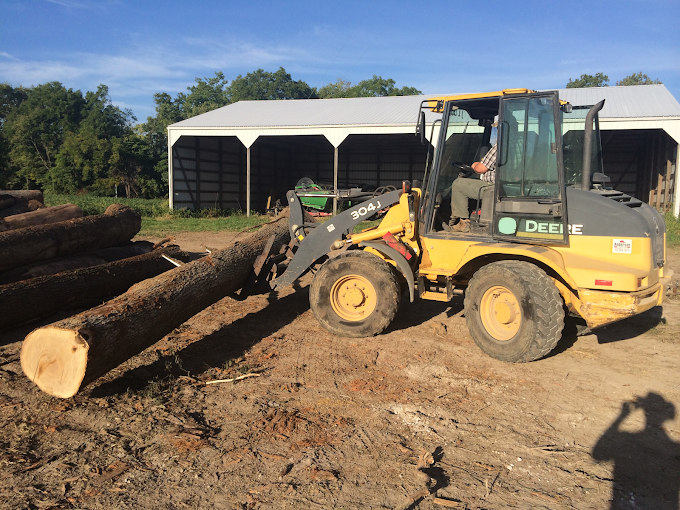 Walnut Timber Buyers | Peoria Image