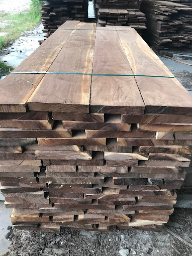 Walnut Timber Buyers | Peoria Image