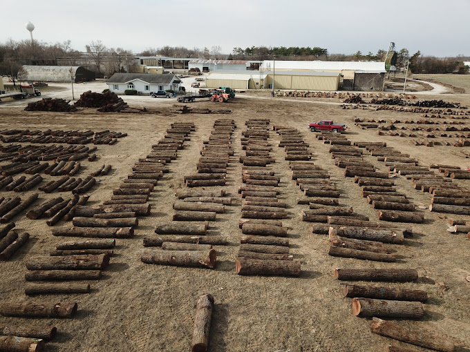 Walnut Timber Buyers | Peoria Image