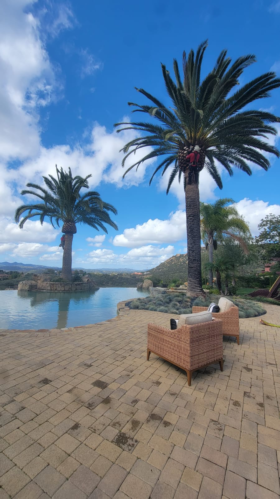 Vista del Rey Tree Services - Vista, CA