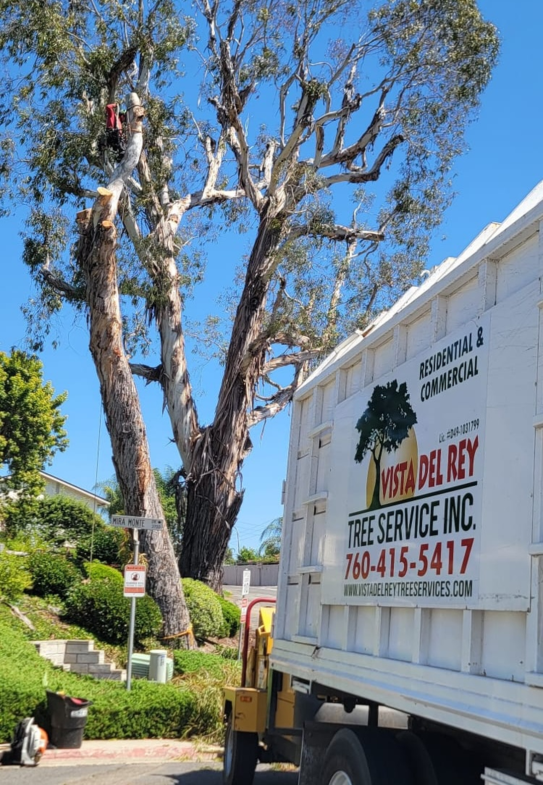 Vista Del Rey Tree Services - Vista, CA
