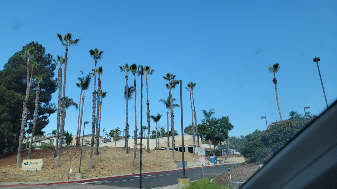 Vista del Rey Tree Services - Vista, CA