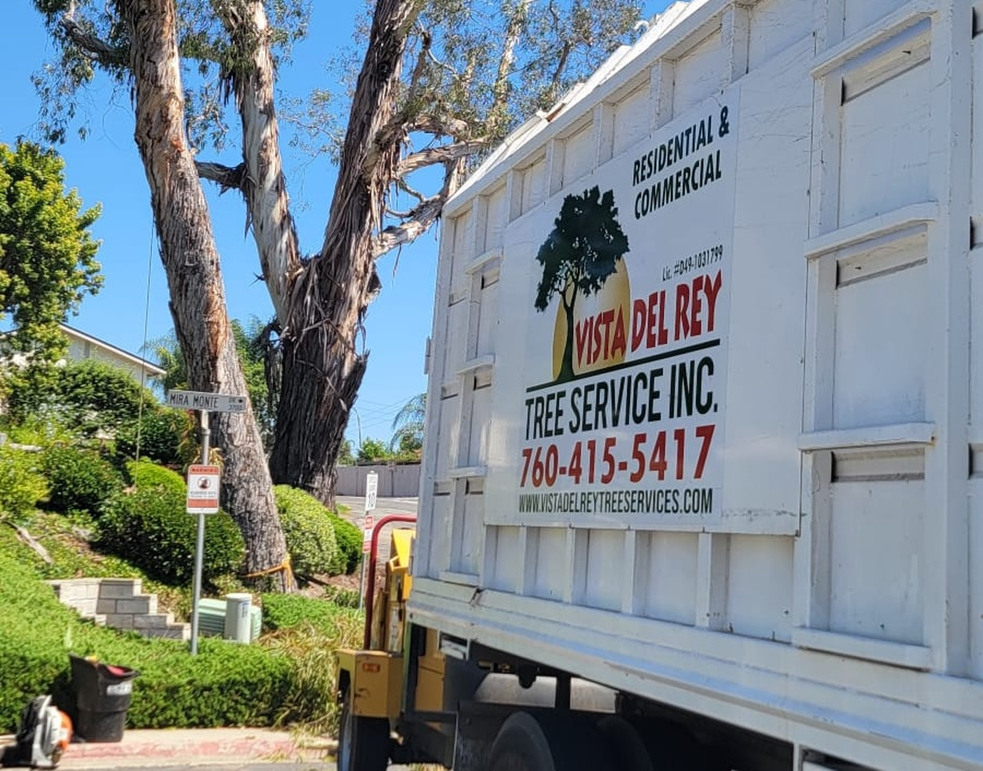 Vista Del Rey Tree Services - Vista, CA