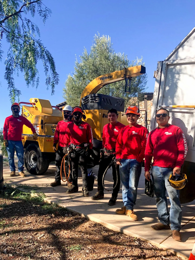 Vista del Rey Tree Services - Vista, CA