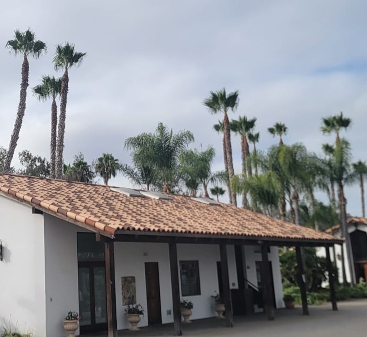 Vista Del Rey Tree Services - Vista, CA
