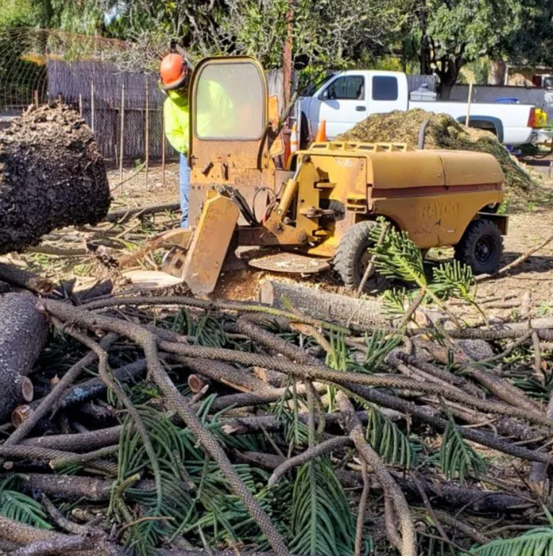 Vista del Rey Tree Services - Vista, CA