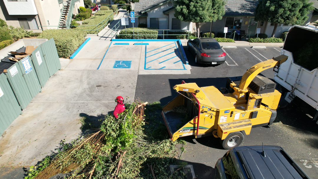 Vista del Rey Tree Services - Vista, CA
