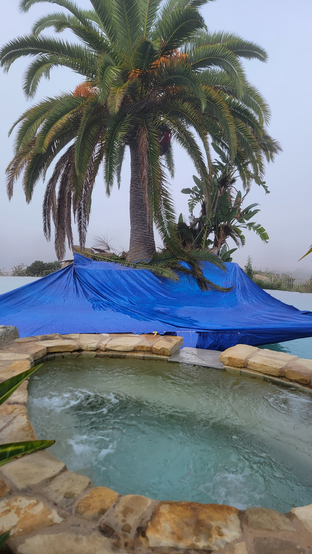 Vista del Rey Tree Services - Vista, CA