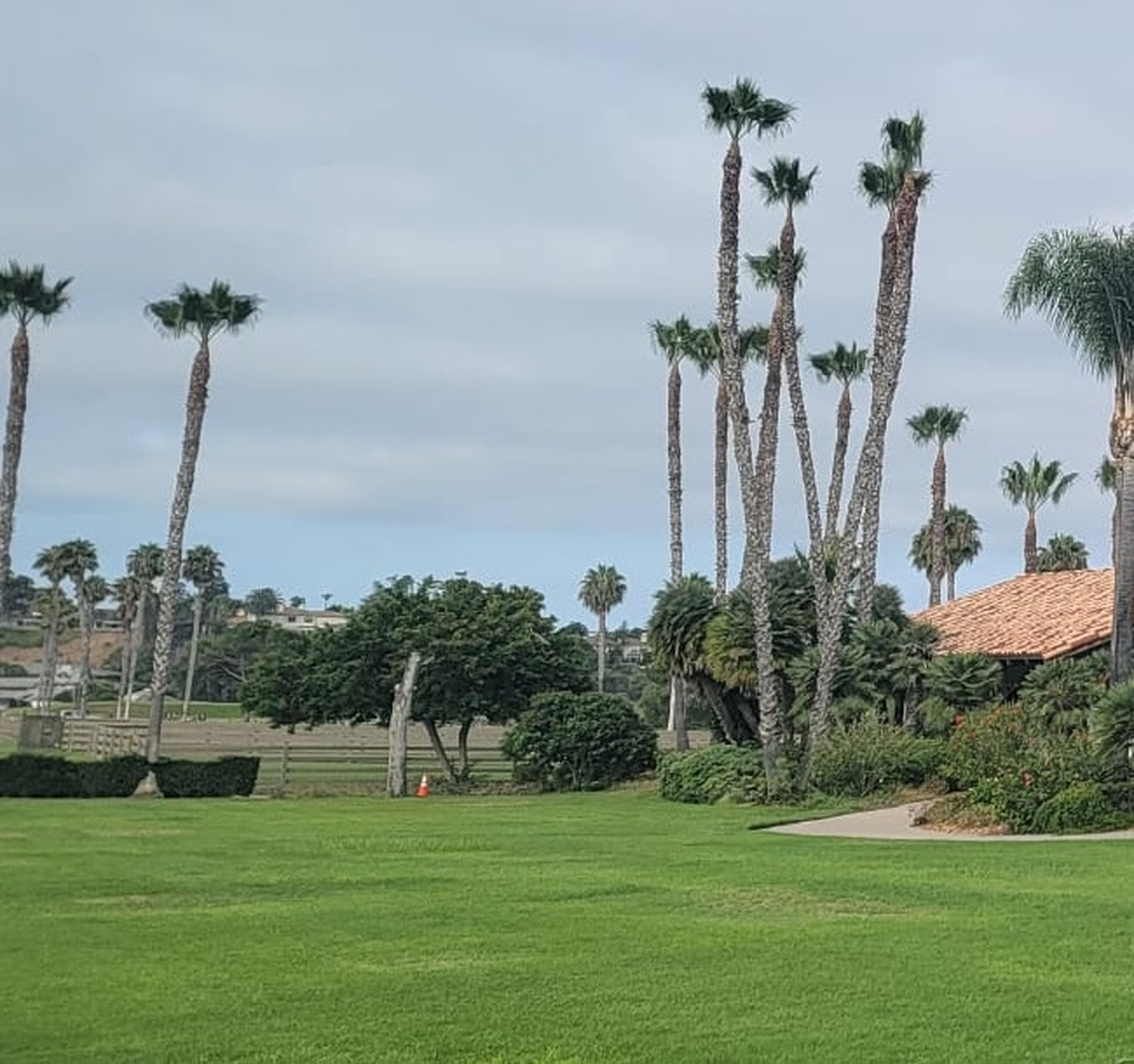 Vista Del Rey Tree Services - Vista, CA
