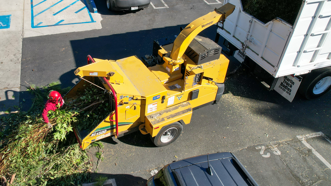 Vista del Rey Tree Services - Vista, CA