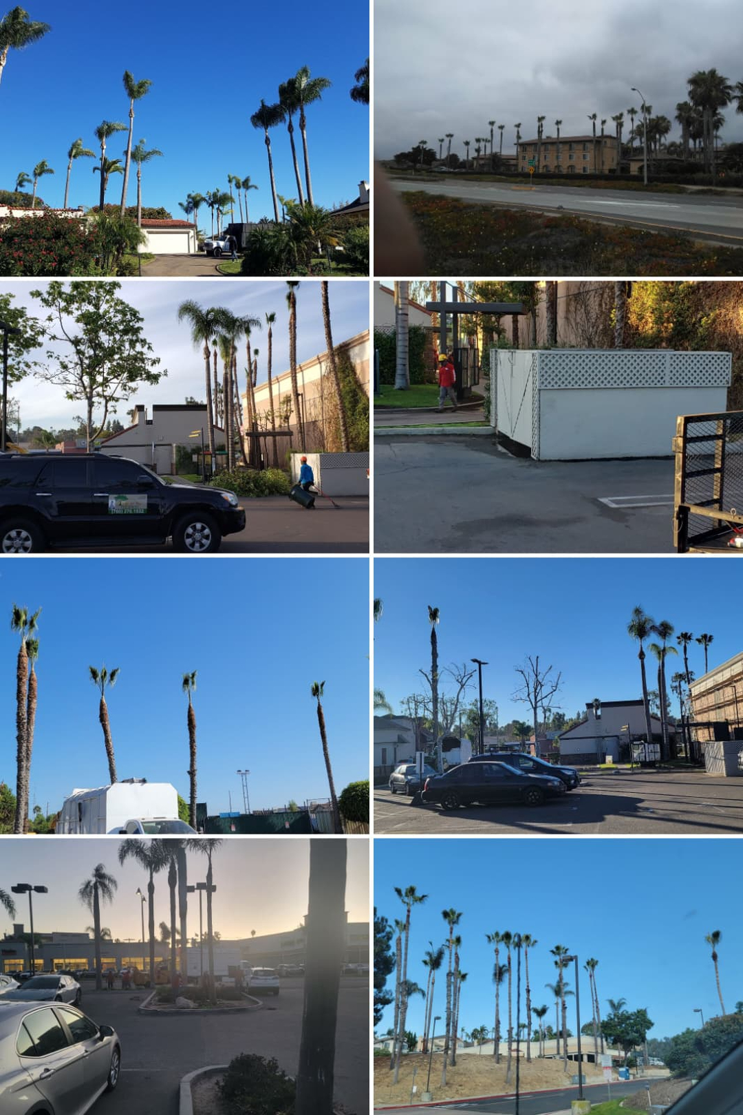 Vista del Rey Tree Services - Vista, CA