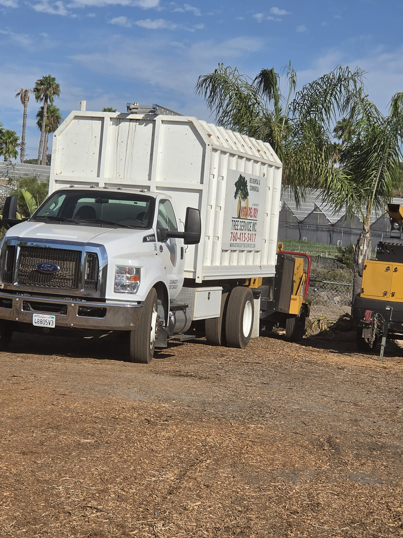 Vista Del Rey Tree Services - Vista, CA