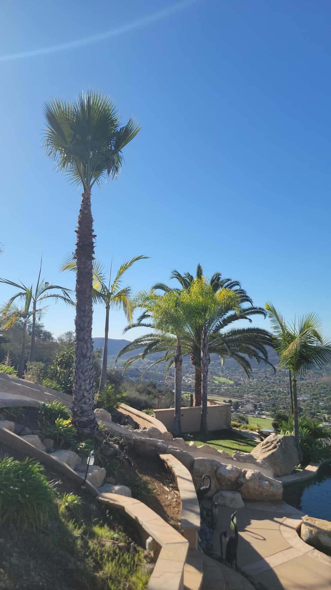 Vista del Rey Tree Services - Vista, CA