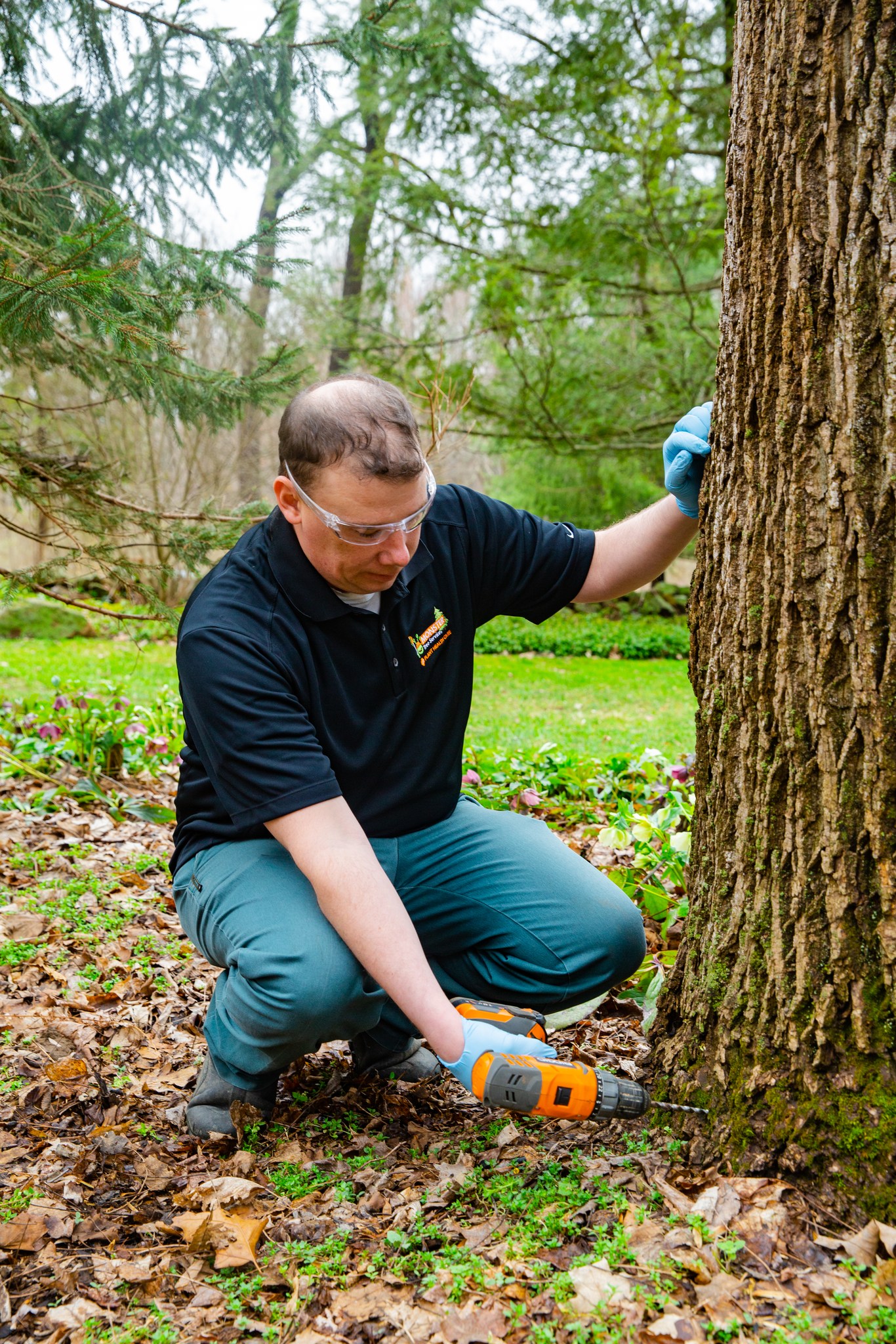Monster Tree Service of Lee's Summit Image