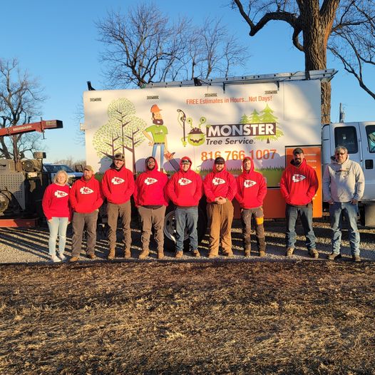 Monster Tree Service of Lee's Summit Image