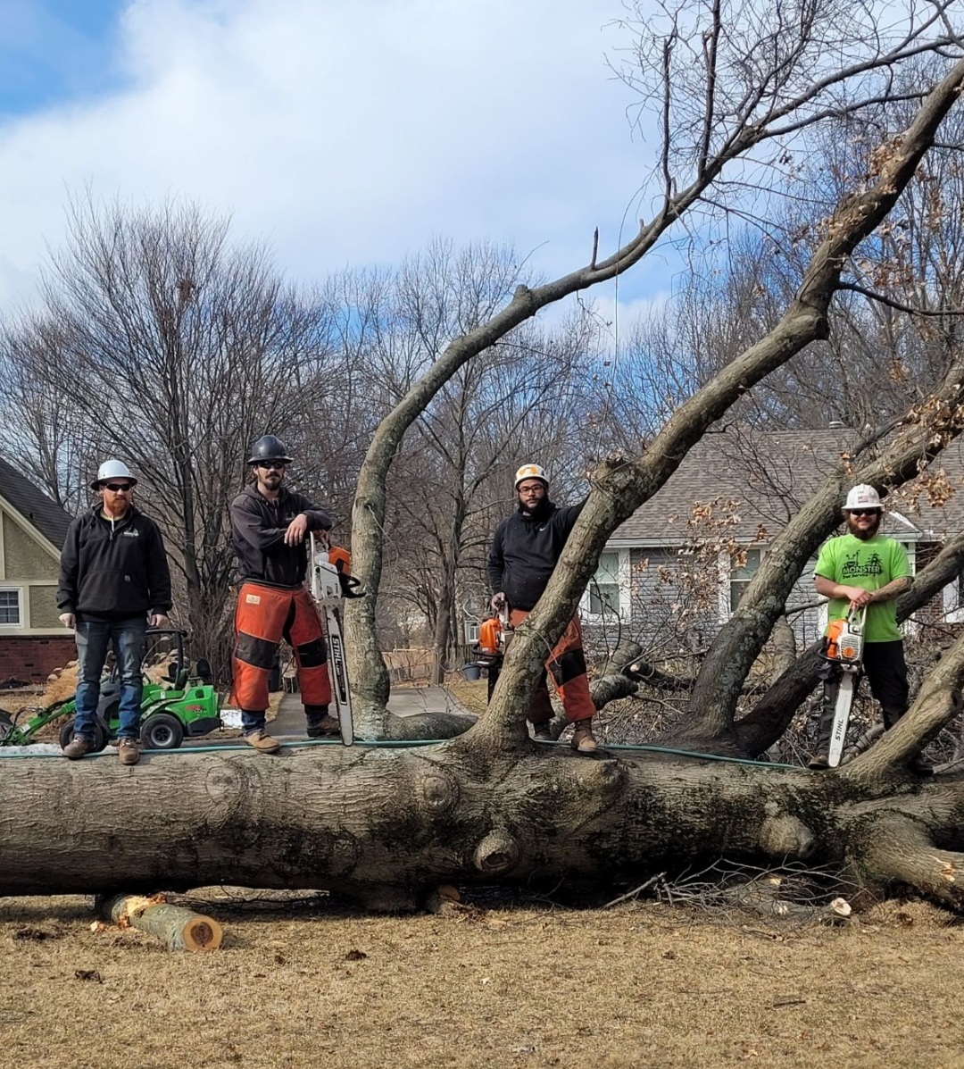 Monster Tree Service of Lee's Summit Image