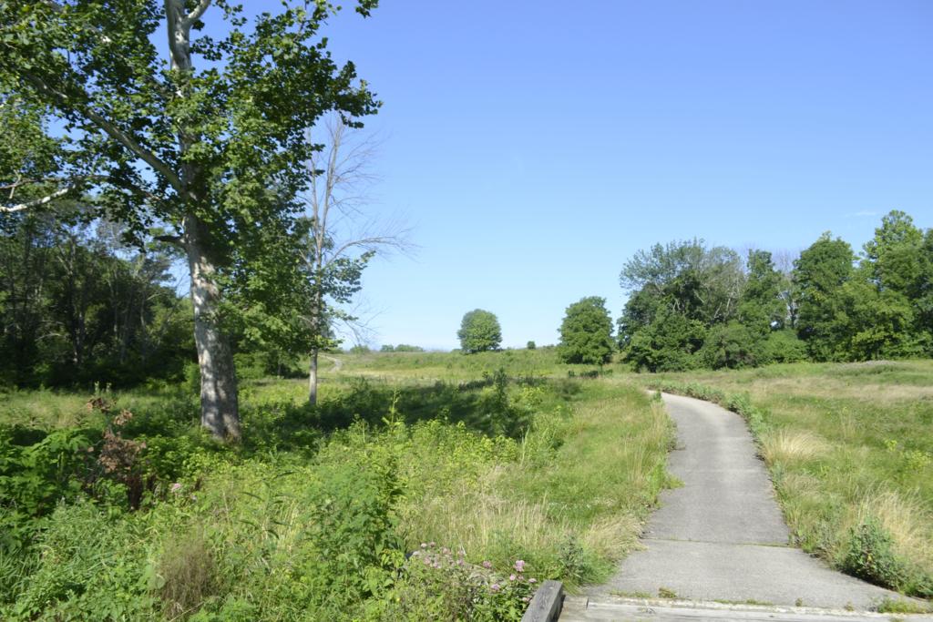 Drees Homes at Crooked Tree Preserve Image