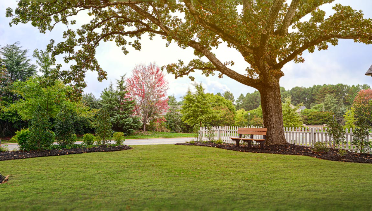 Allston by D.R. Horton Image