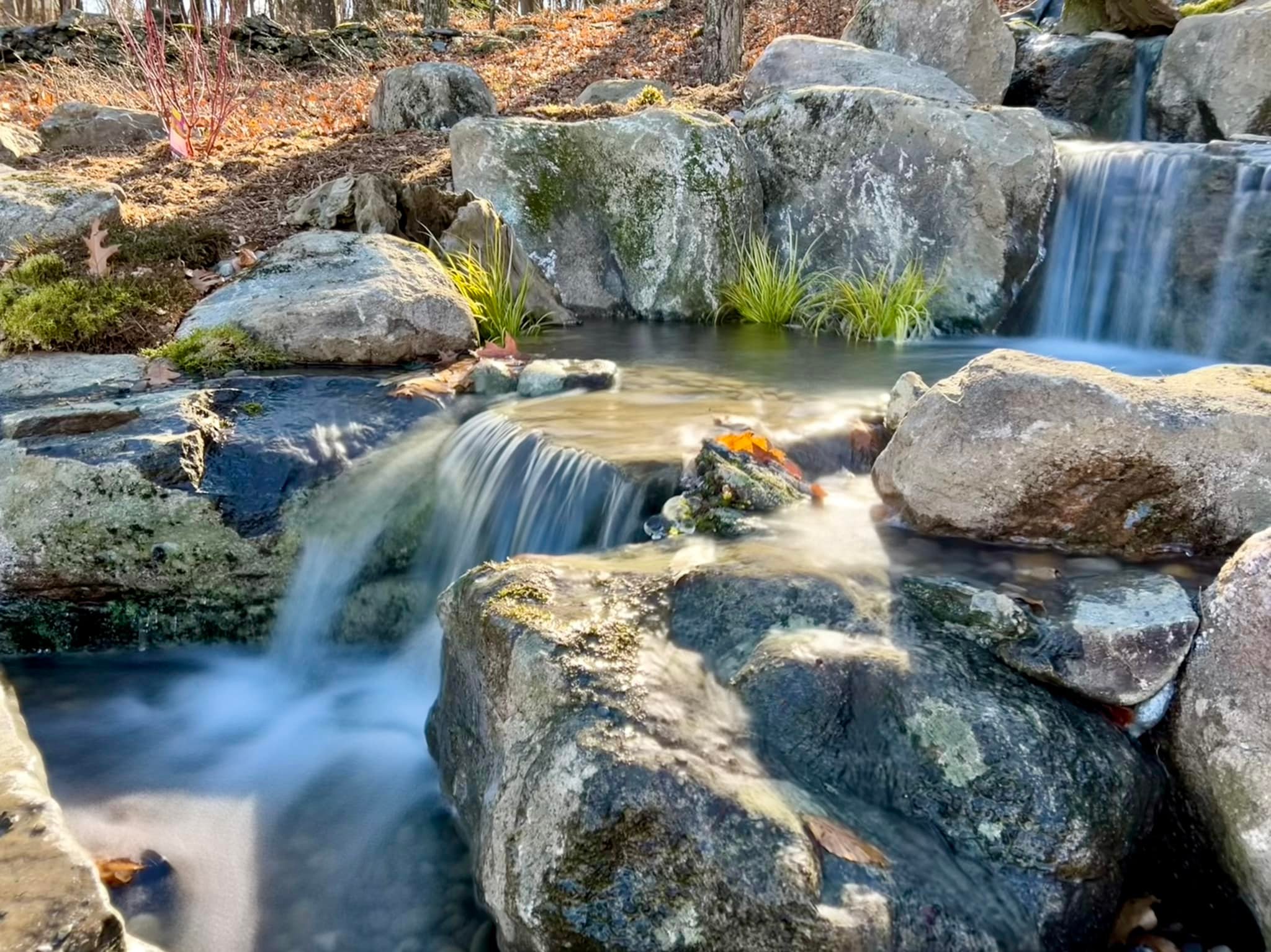 Garden State Koi Pond & Waterfall Design Center Image