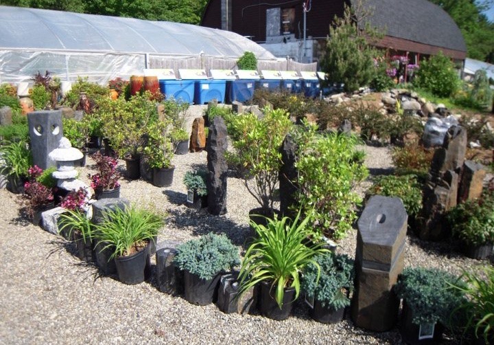 Garden State Koi Pond & Waterfall Design Center Image