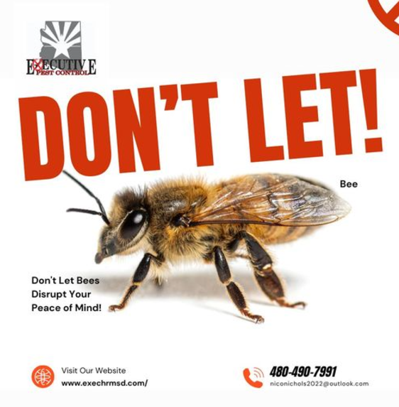 Executive Pest Control - Queen Creek, AZ