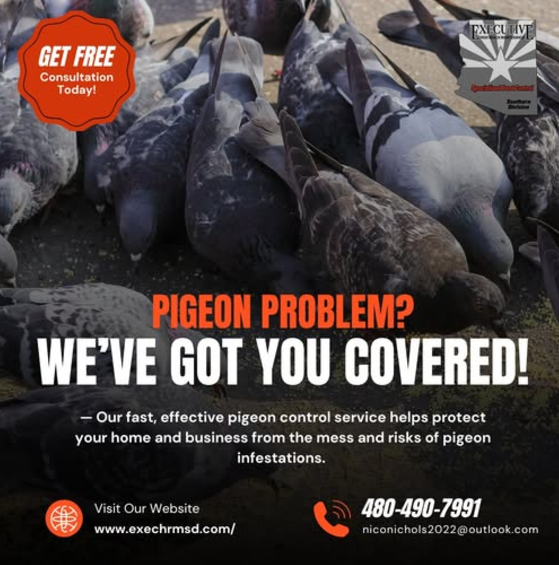 Executive Pest Control - Queen Creek, AZ