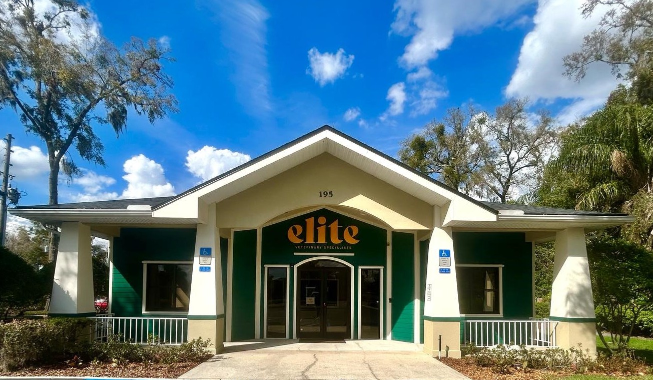 Elite Veterinary Specialists - Casselberry, FL