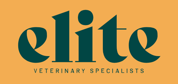 Elite Veterinary Specialists - Casselberry, FL