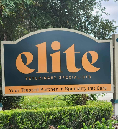 Elite Veterinary Specialists - Casselberry, FL