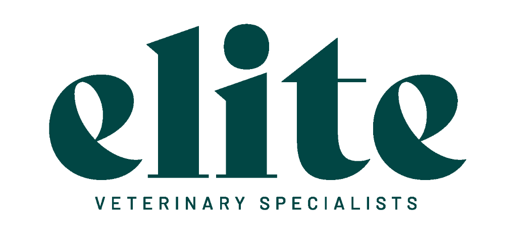 Elite Veterinary Specialists - Casselberry, FL