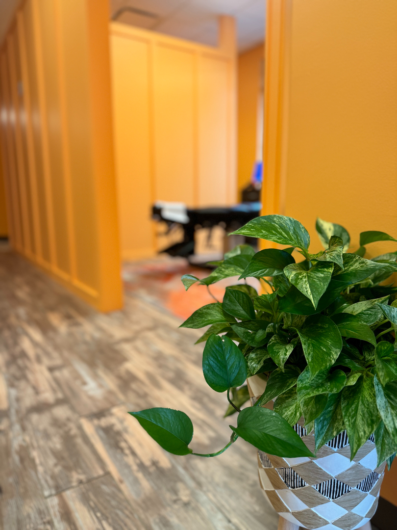 Capstone Chiropractic Image