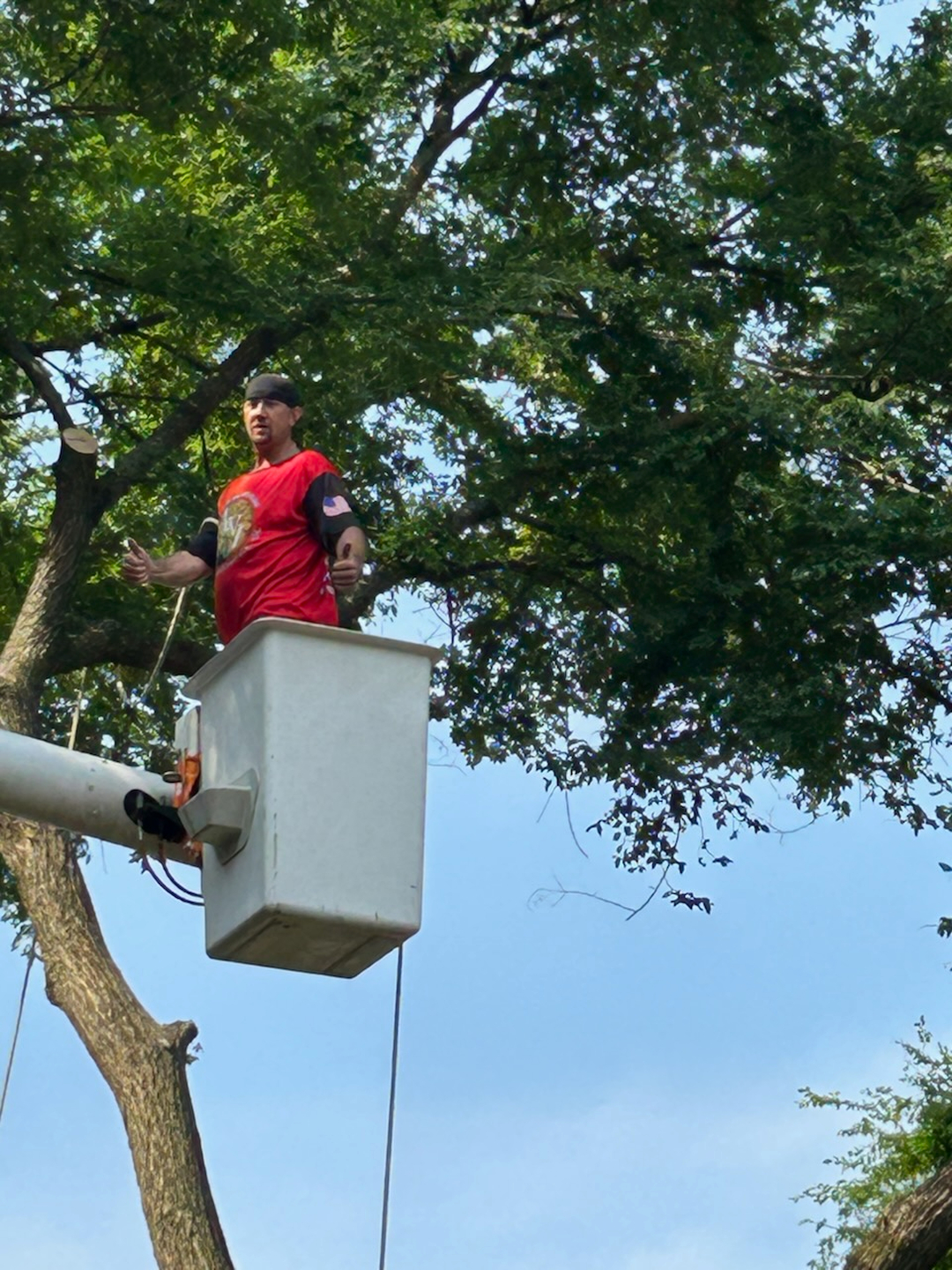 A New Image Property Maintenance - Olive Branch, MS