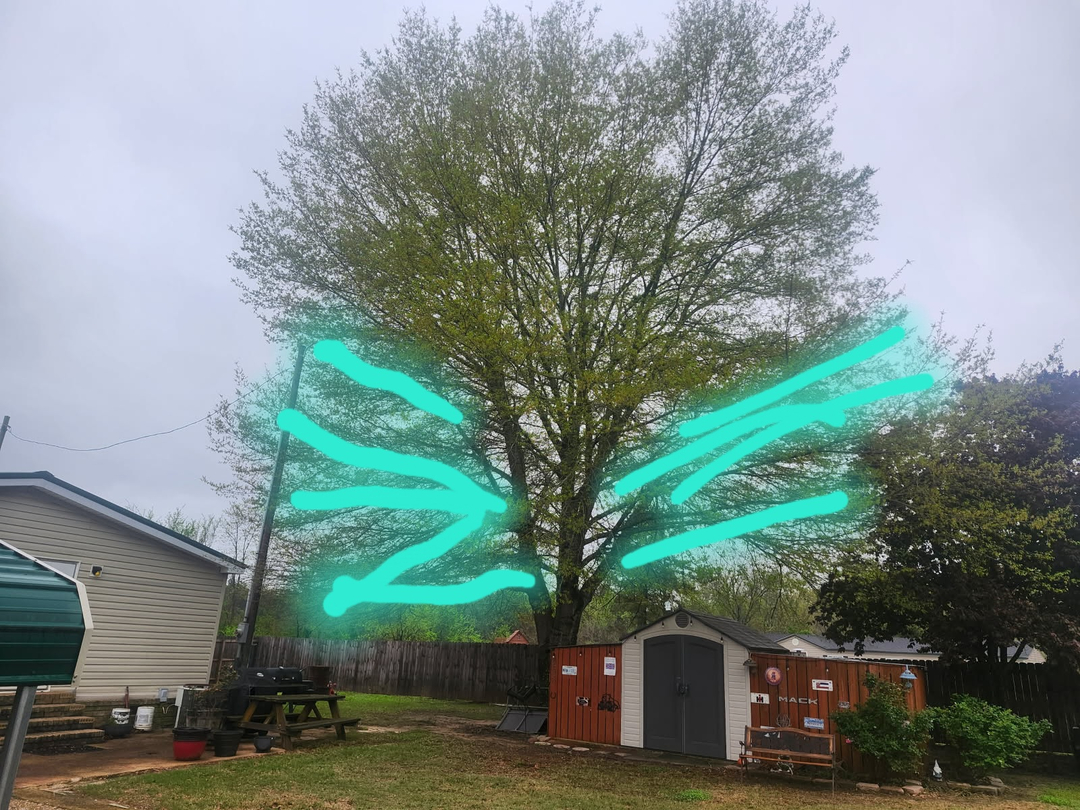 A New Image Property Maintenance - Olive Branch, MS