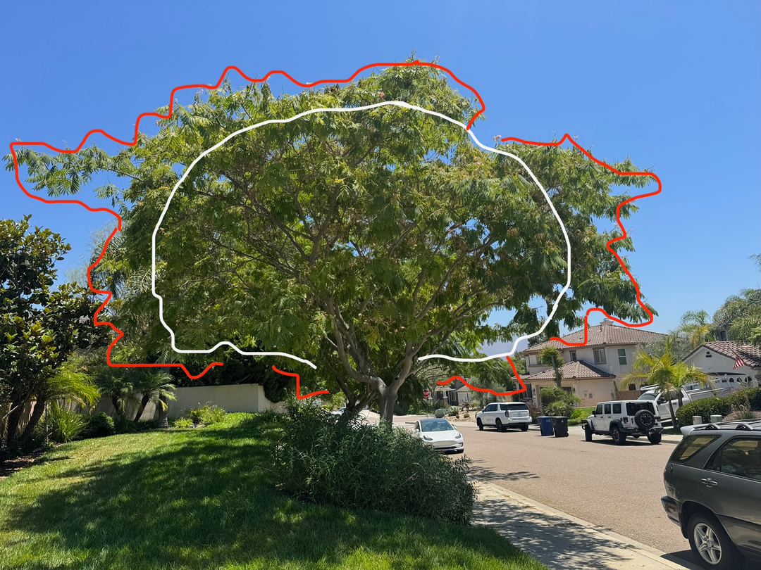 Higuera Tree Care - Pacific Beach - San Diego, CA