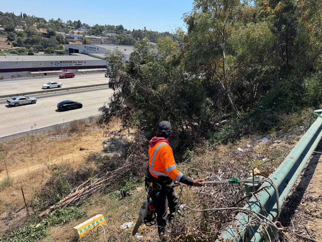 Higuera Tree Care - Pacific Beach - San Diego, CA