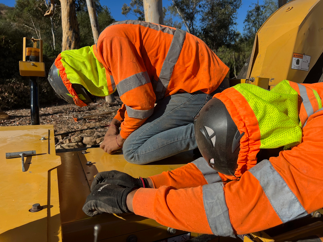 Higuera Tree Care - Pacific Beach - San Diego, CA
