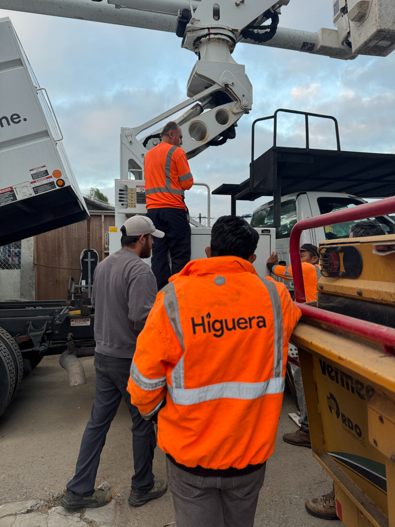 Higuera Tree Care - Pacific Beach - San Diego, CA