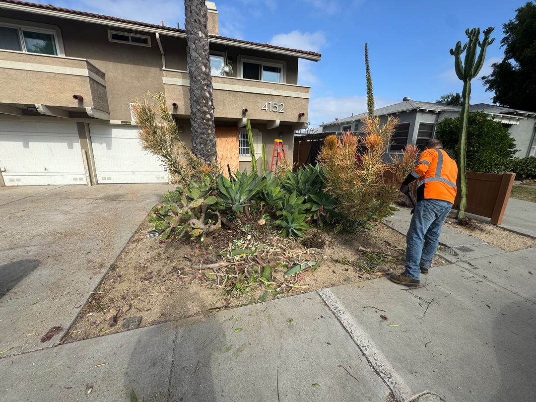 Higuera Tree Care - Pacific Beach - San Diego, CA