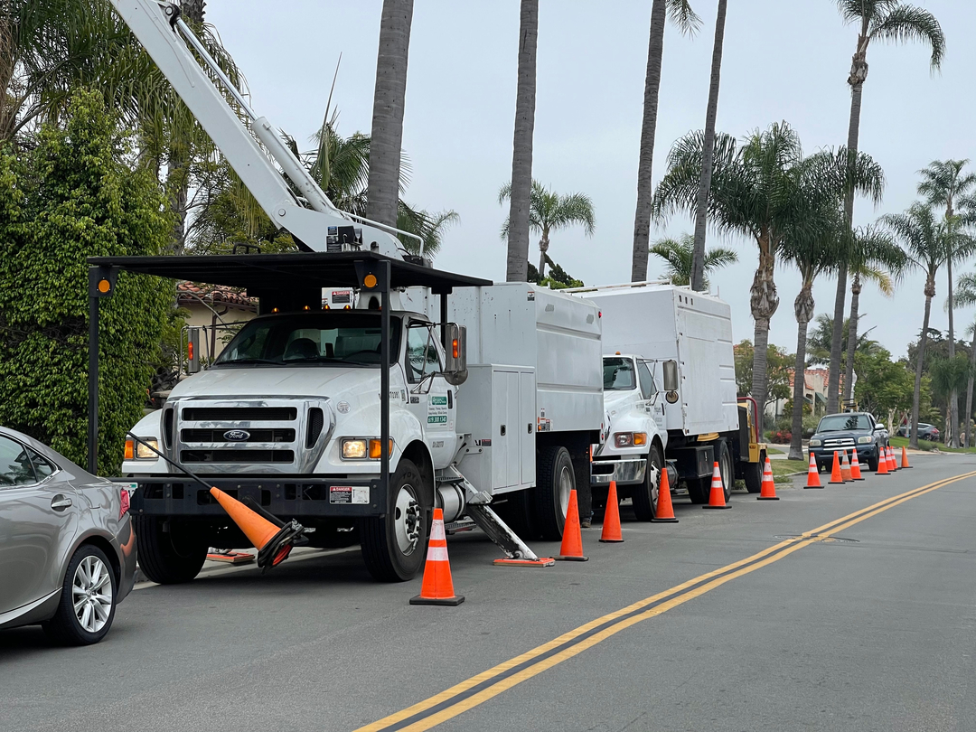 Higuera Tree Care - Pacific Beach - San Diego, CA