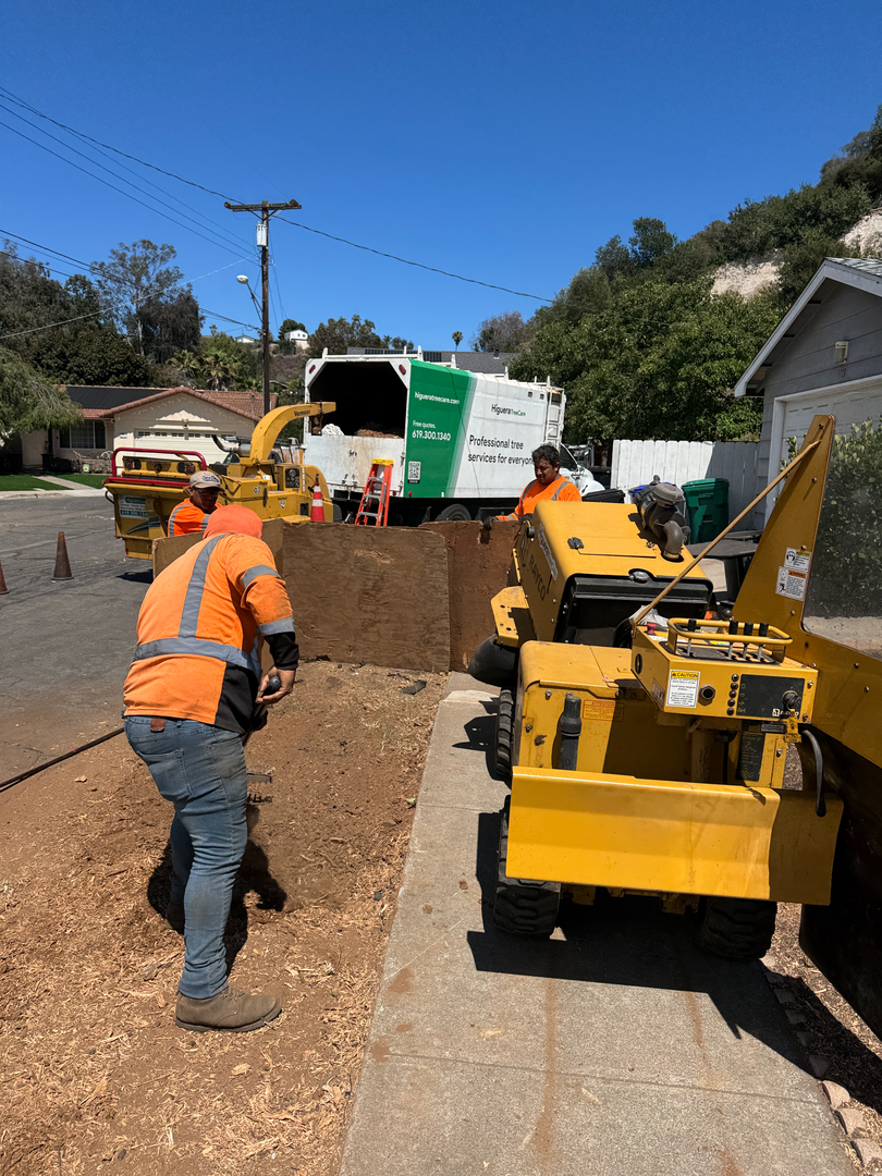 Higuera Tree Care - Pacific Beach - San Diego, CA