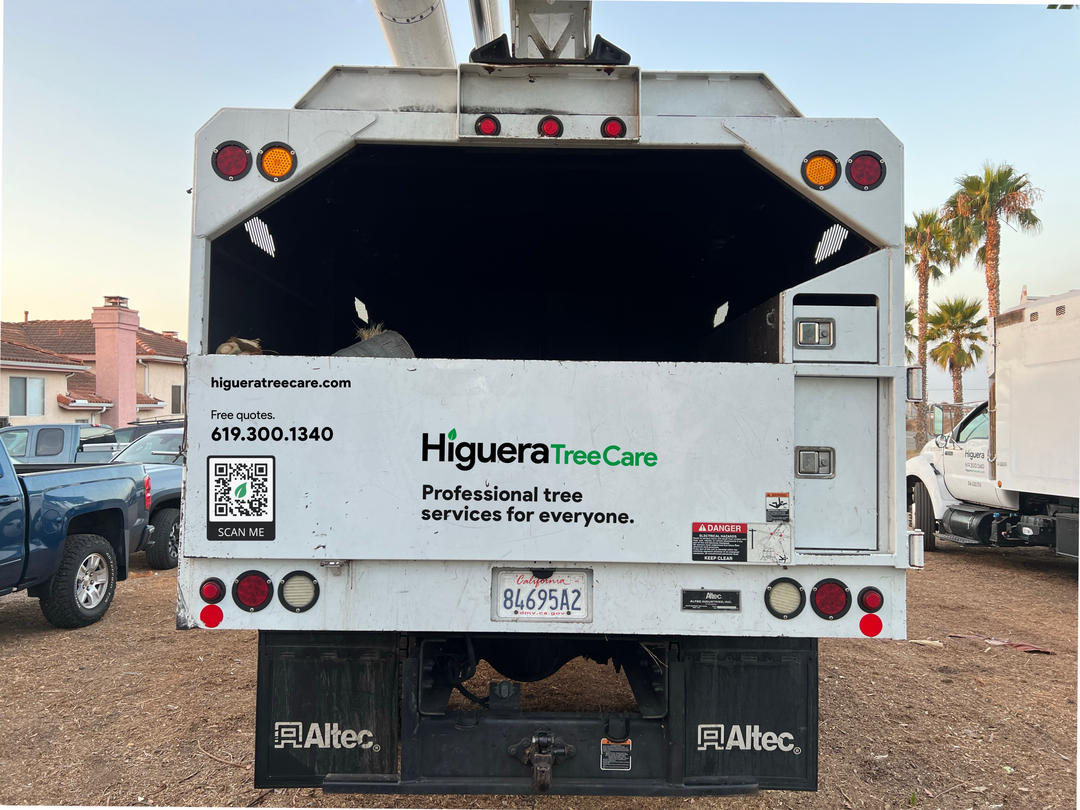 Higuera Tree Care - Pacific Beach - San Diego, CA