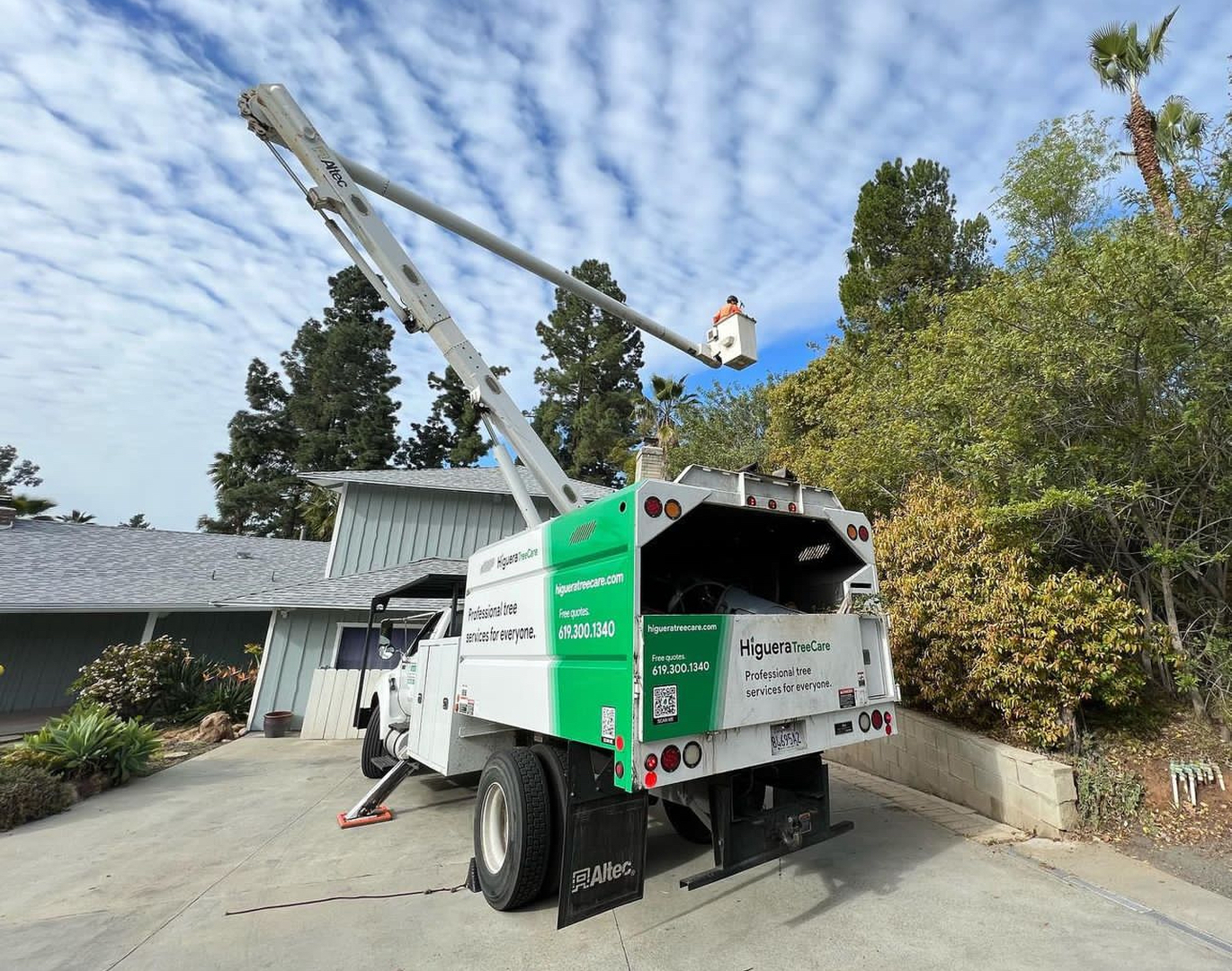 Higuera Tree Care - Pacific Beach - San Diego, CA